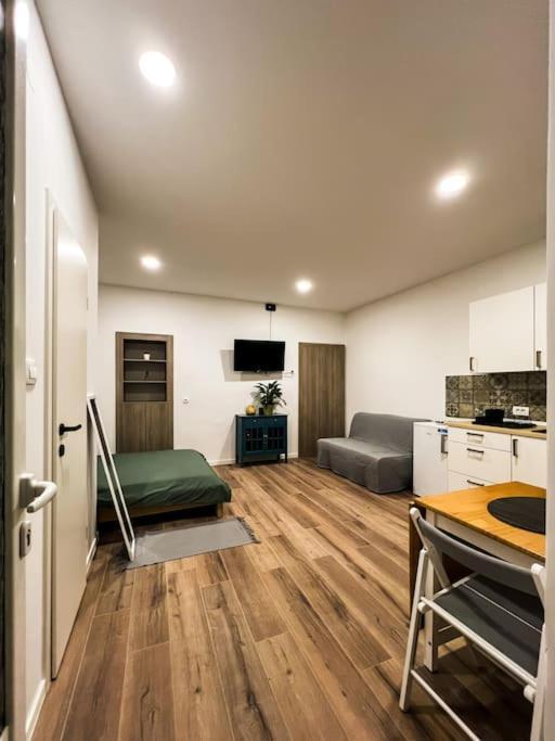 Studio Apartment Joanna Rijeka Exterior foto
